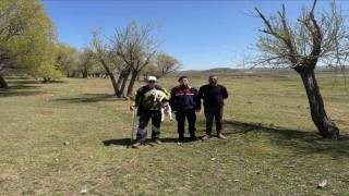Kayıp küçükbaş hayvanı jandarma buldu