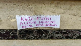 Kedi evini çalanlara hakkını helal etmedi