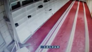 Kedinin caminin asma tavanını yıkarak aşağı düştüğü anlar kamerada