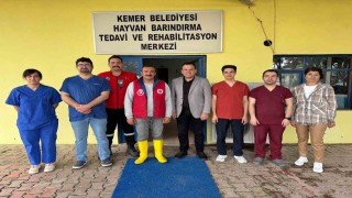 Kemerde sokak hayvanlarına destek çağrısı
