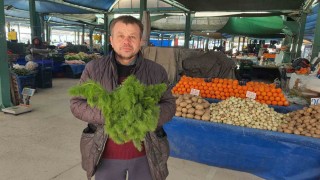 Kendiliğinden yetişen çaşır otu yok satıyor