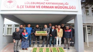 Kırklarelinde üreticilere hıyar fidesi dağıtıldı