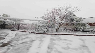 Kış geri geldi: Edirnede kar yağışı