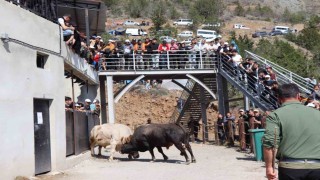 Kral ile Ateş arenaya sığmadı