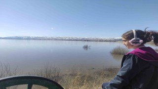 Kura Nehri taştı: Ardahan Ovası göle döndü