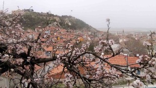 Kütahyada badem ağaçları bu yıl zamanında çiçek açtı