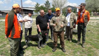 Kütahyada Fermalı Av Köpekleri Mera Yarışması düzenlendi