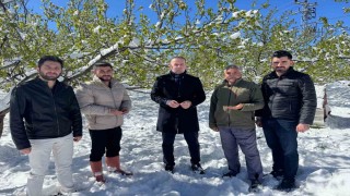 Malatyada kayısı da don felaketi
