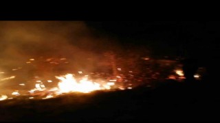 Malatyada sazlık yangını