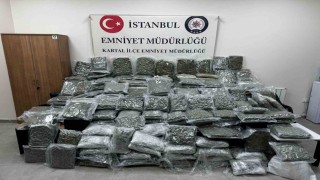 Maltepede petshop görünümlü depoda 100 kilo uyuşturucu ele geçirildi