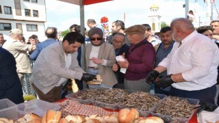 Manisadaki festivalde 2 ton hamsi dağıtıldı