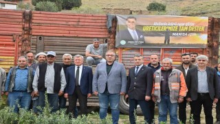 Manisadaki orman yangınlarının izi siliniyor