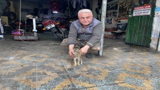 Manisalı esnafın duyarlılığı bir kediyi hayata bağladı