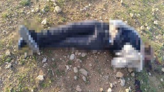Mardinde 1 kişi silahla vurulmuş halde bulundu