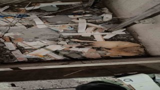 Mardinde asansör boşluğuna düşen köpek kurtarıldı
