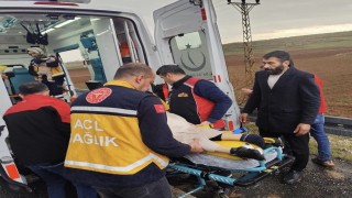 Mardinde kamyonet tarlaya devrildi: 3 yaralı
