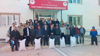 Mersin Mutta üreticiye tohum desteği