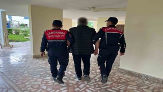 Mersinde fuhuş ve insan ticareti operasyonu: 2 tutuklama