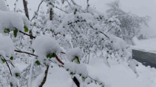 Meteorolojiden Ordu için sarı kodlu uyarı