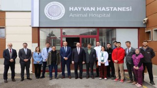 Milletvekili Fırattan Atatürk Üniversitesi hayvan hastanesine ziyaret