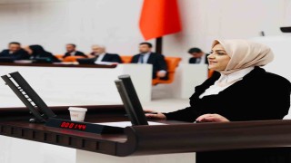 Milletvekili Ün; İklim Yasasına hayır diyorum