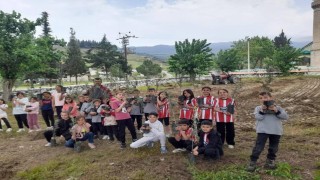 Minik eller okul bahçesine zeytin dikti