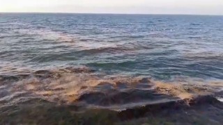 Mudanya sahilinde görülen müsilaj tedirgin etti