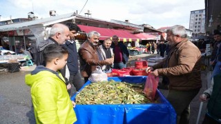 Muşta baharın habercisi çiriş otu, doğadan tezgahlara indi