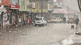 Nisan ayında Bingölde lapa lapa kar sürprizi
