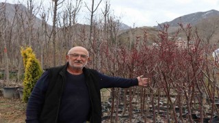 Ömrünü fidan üretimine adadı