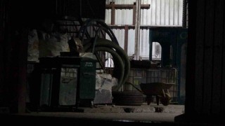 Orduda çöp ayrıştırma makinesine sıkışan genç hayatını kaybetti