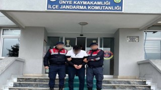 Orduda DEAŞ üyesi bir kişi yakalandı