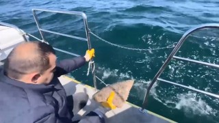 Orduda denizde serili kalkan ağına el konuldu