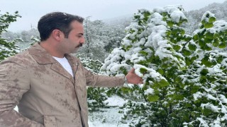 Ordunun yüksek kesimlerinde kar yağışı: Fındık üreticileri tedirgin oldu