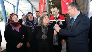 Osmaniye’de Çiftçiye Dev Destek: 11.500 Zeytin Fidanı ve 4.500 Kg Yem Bitkisi Dağıtıldı