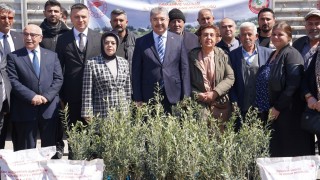 Osmaniye’de Çiftçiye Hibeli Soya Tohumu ve Zeytin Fidanı Desteği