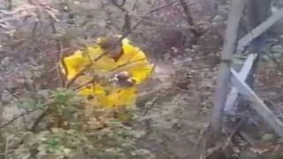 Osmaniye’de Dere Yatağında Mahsur Kalan Yavru Köpekleri İtfaiye Kurtardı
