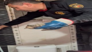 Osmaniyede mahsur kalan yavru kediyi itfaiye ekipleri kurtardı