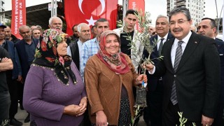 Osmaniye’de Zeytin Üretimine Büyük Destek: Çiftçilere 11.500 Zeytin Fidanı Dağıtıldı