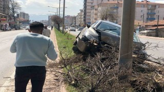 Otomobil ağaca çarptı: 1 yaralı