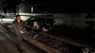 Otomobil ağaca çarptı, sürücüsü hayatını kaybetti