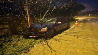 Otomobil elektrik direğine çarptı: 3 yaralı