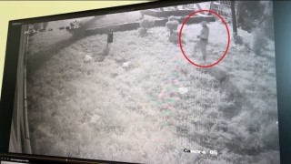 (Özel) Gece ev soyan sakar hırsız, olay yerinde telefonunu düşürdü