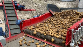 Patatesin toprakla buluşma yolculuğu başladı
