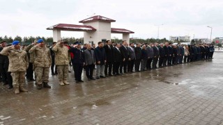 Patnosta kurtuluş coşkusu