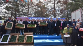 Şahinbey Belediyesinden çiftçiye 7 milyon adet fide desteği