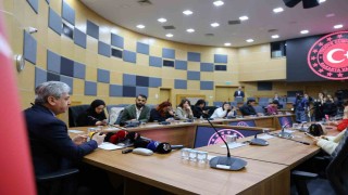 Sakarya Valisinden bungalov ve sokak hayvanları açıklaması