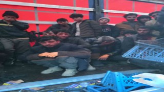 Sakaryada tır dolusu düzensiz göçmen yakalandı: Sürücü tutuklandı