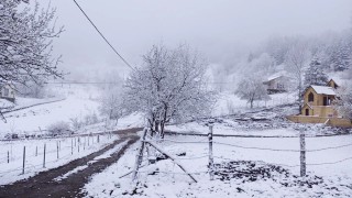 Sakaryanın yüksek kesimlerinde kar etkili oluyor