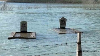 Samsun ilginç görüntüler: Su altında kalmış mezarlar, binlerce balık yavrusu